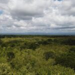 listing image thumbnail with ID 64218