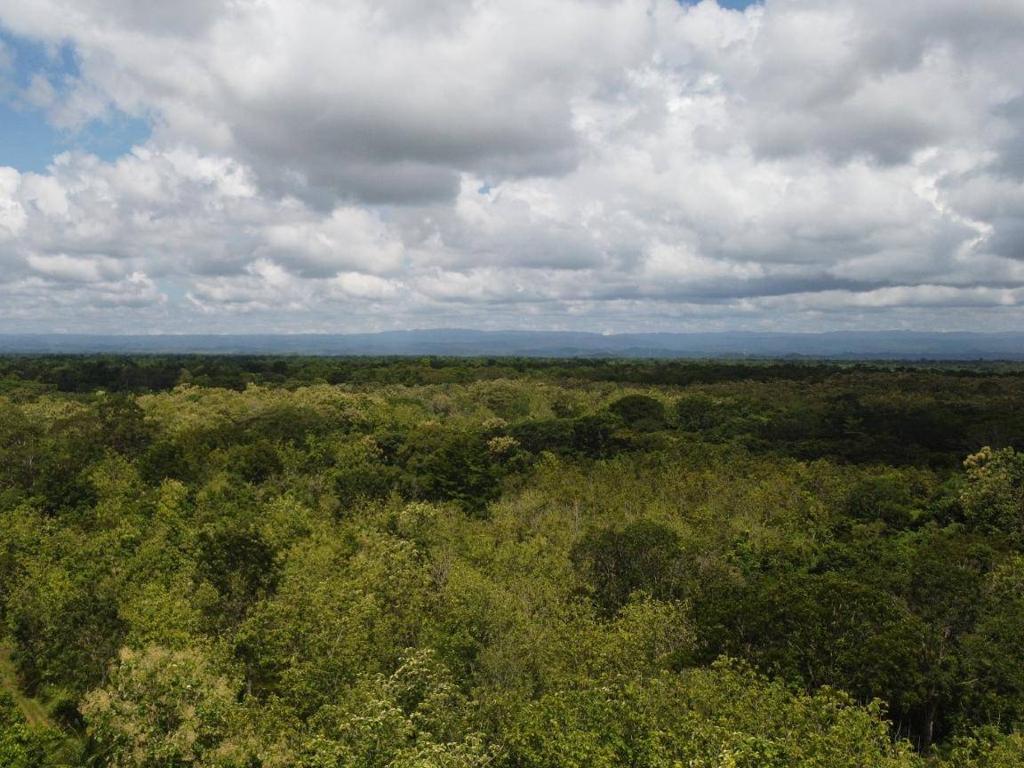 listing image with ID 64218