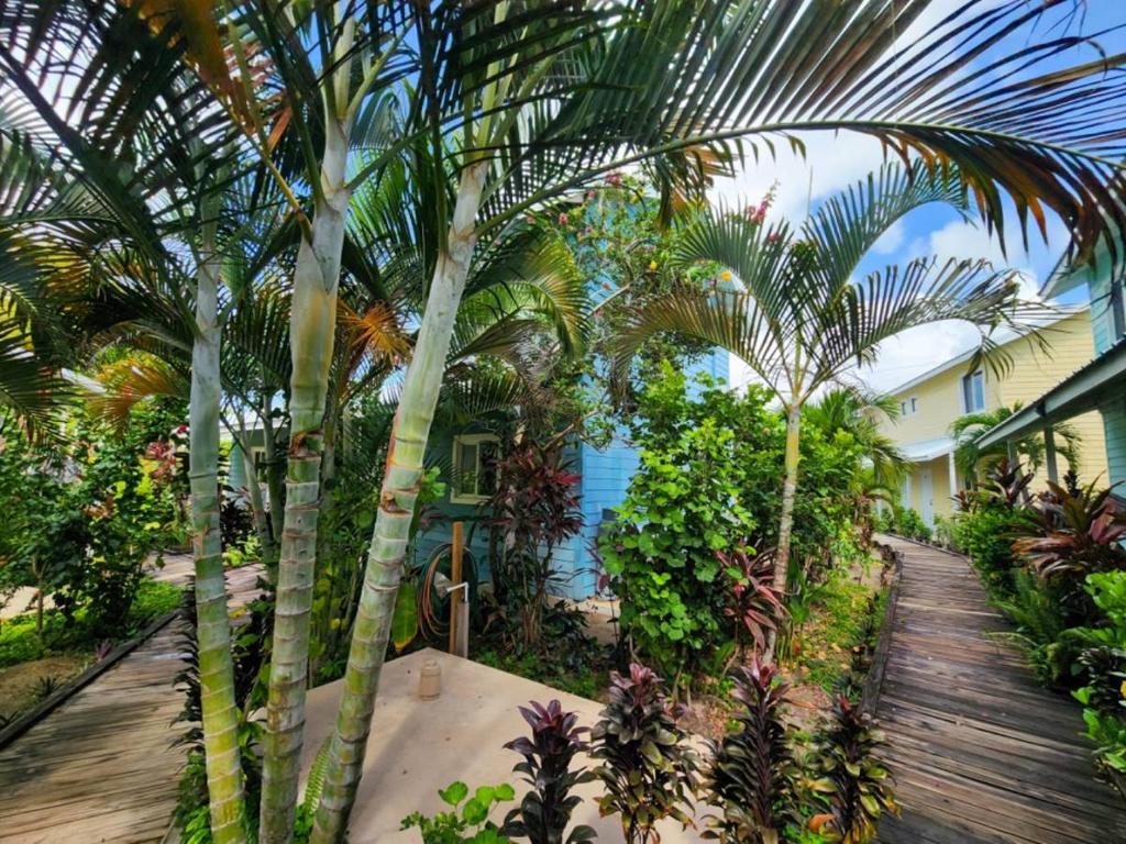 listing image with ID 68047