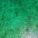 listing image thumbnail with ID 65095