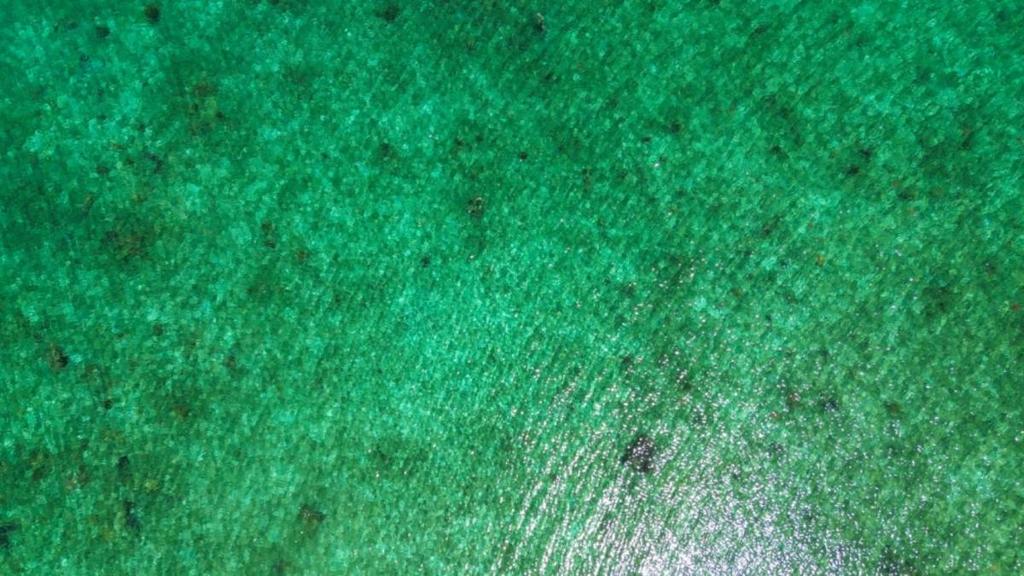 listing image with ID 65095