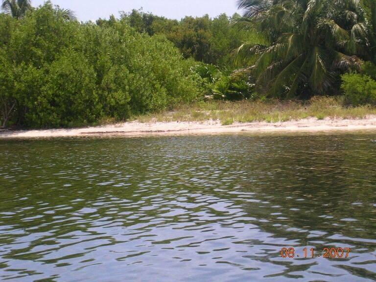 listing image with ID 65642