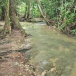 listing image thumbnail with ID 65884