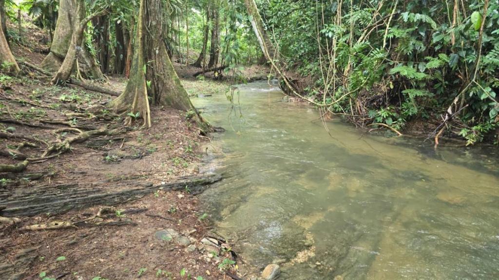 listing image with ID 65884