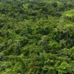 listing image thumbnail with ID 67093