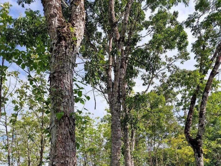 listing image with ID 64199