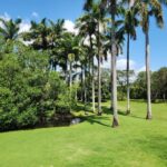 listing image thumbnail with ID 67743