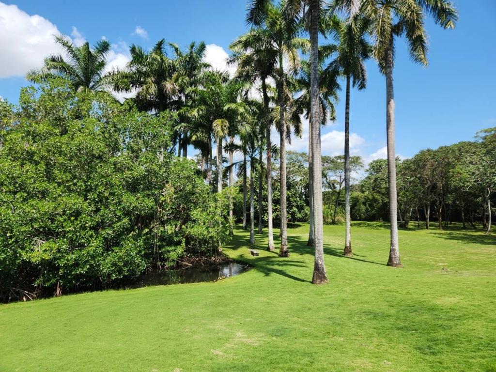 listing image with ID 67743