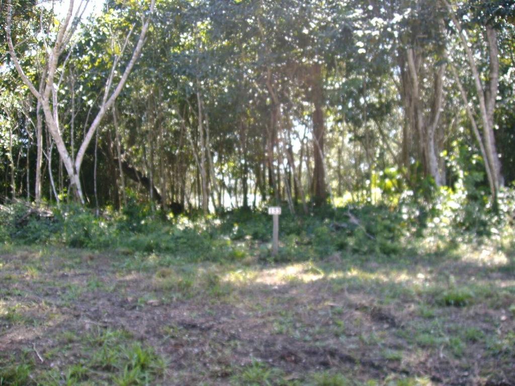 listing image with ID 64574