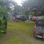 listing image thumbnail with ID 68296