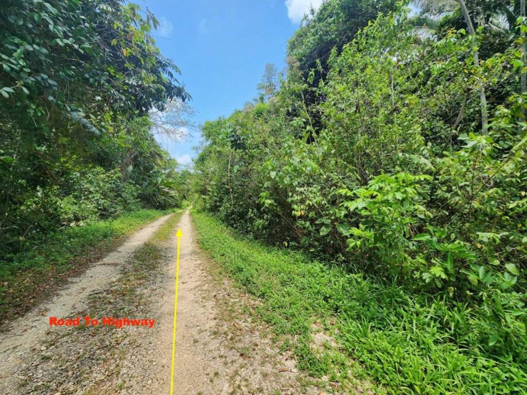 listing image with ID 69172