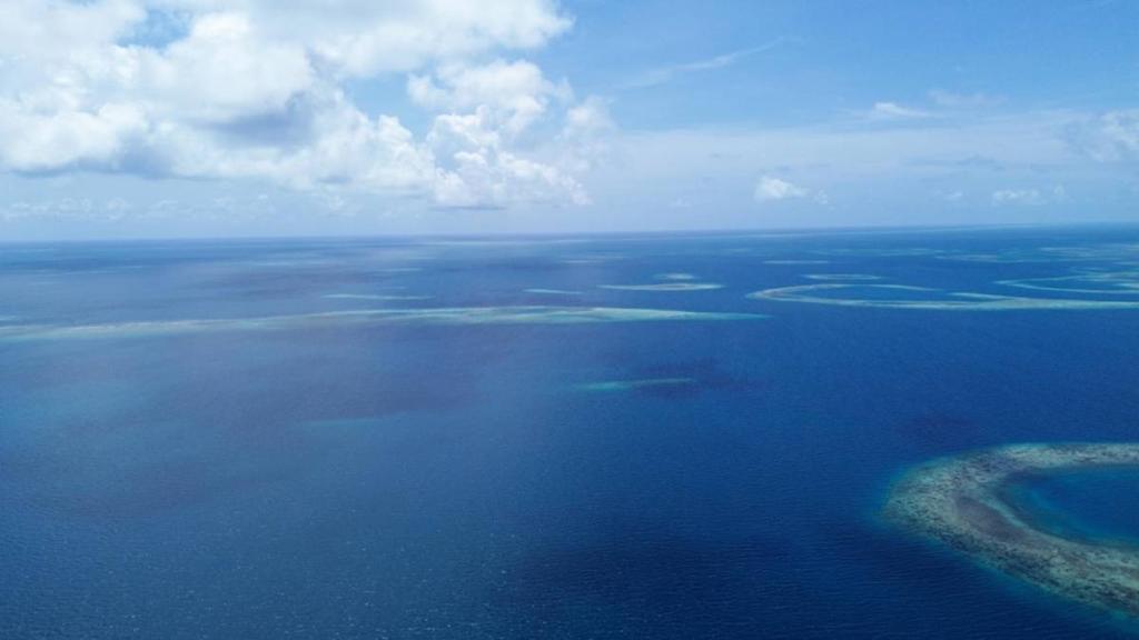 listing image with ID 65854