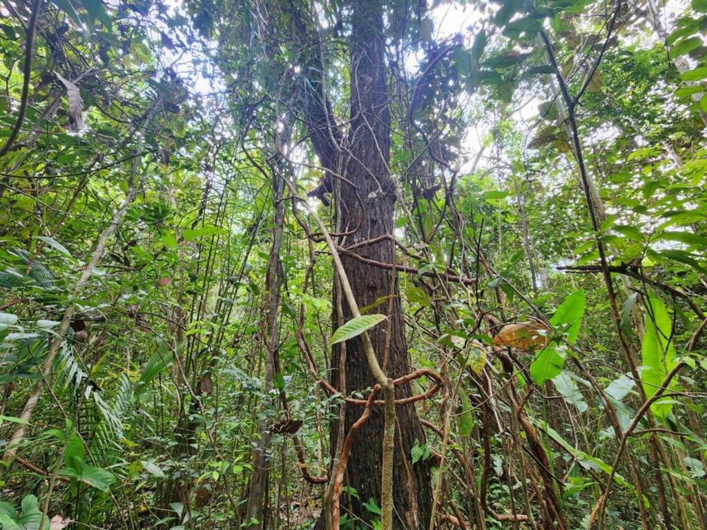 listing image with ID 69175