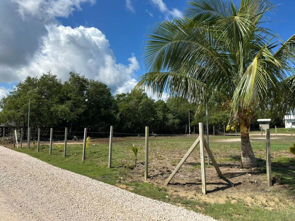 listing image with ID 65207