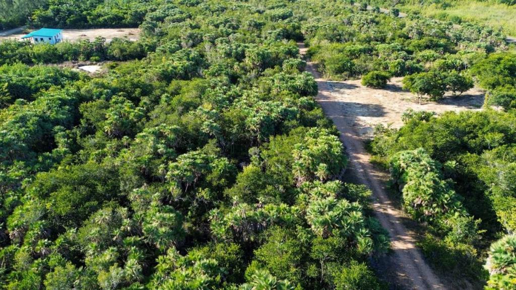 listing image with ID 67800