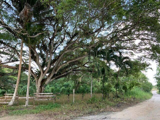 listing image with ID 65014