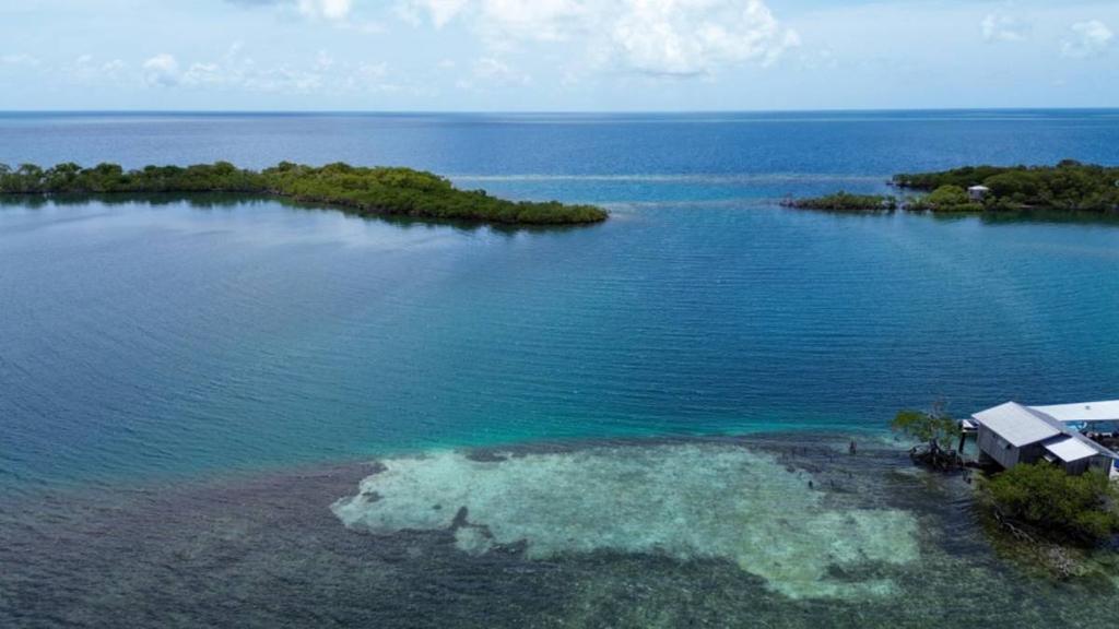 listing image with ID 66850