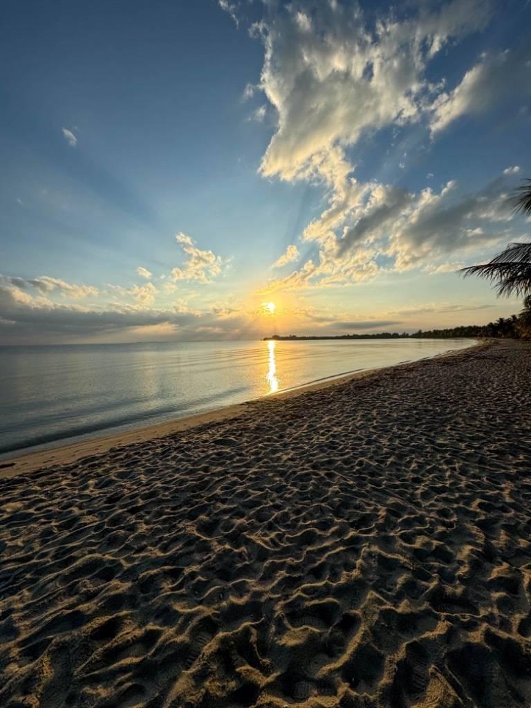 listing image with ID 68164