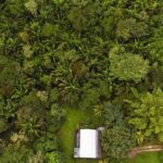 listing image thumbnail with ID 65269