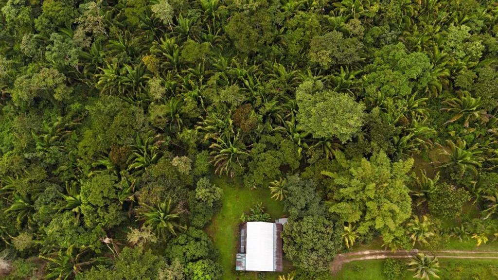 listing image with ID 65269