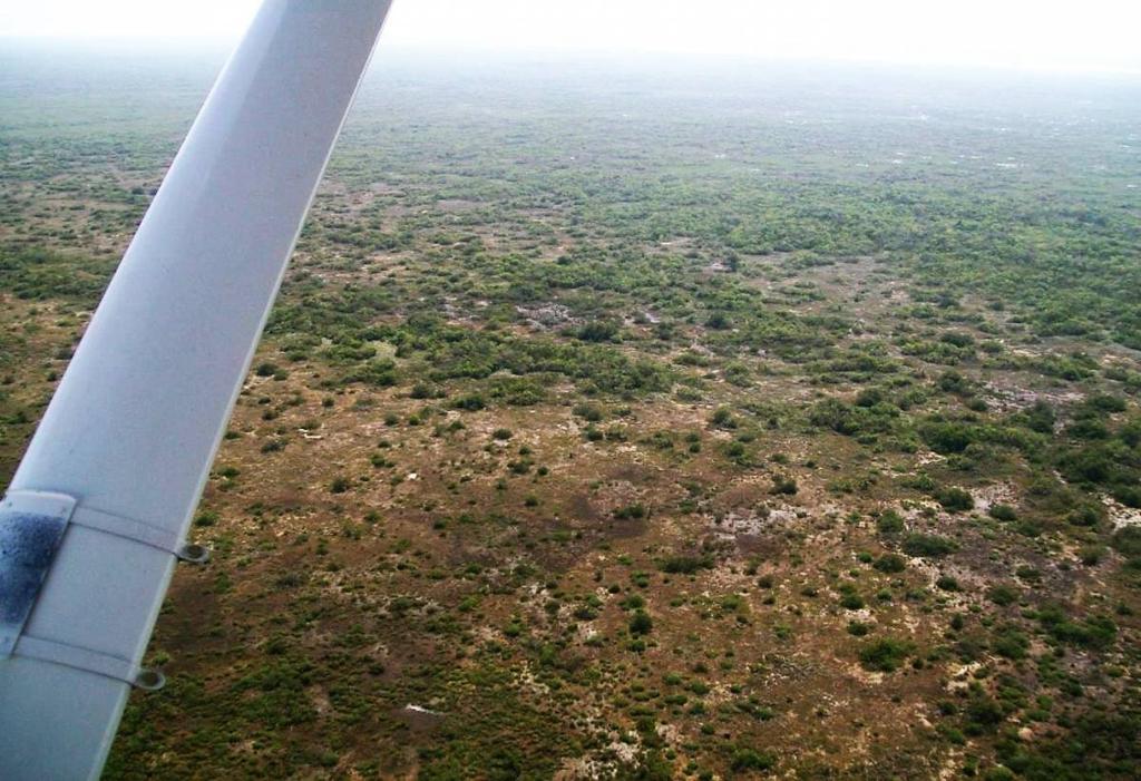 listing image with ID 68094