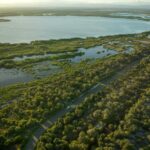 listing image thumbnail with ID 68725