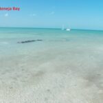 listing image thumbnail with ID 65699