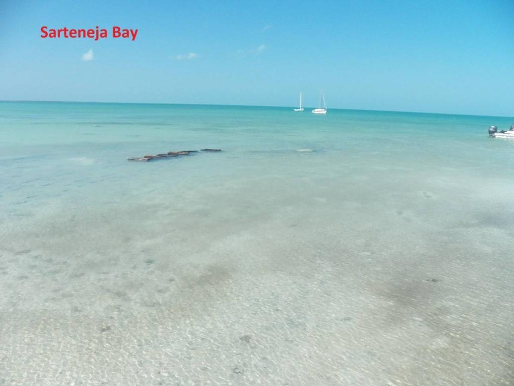 listing image with ID 65699