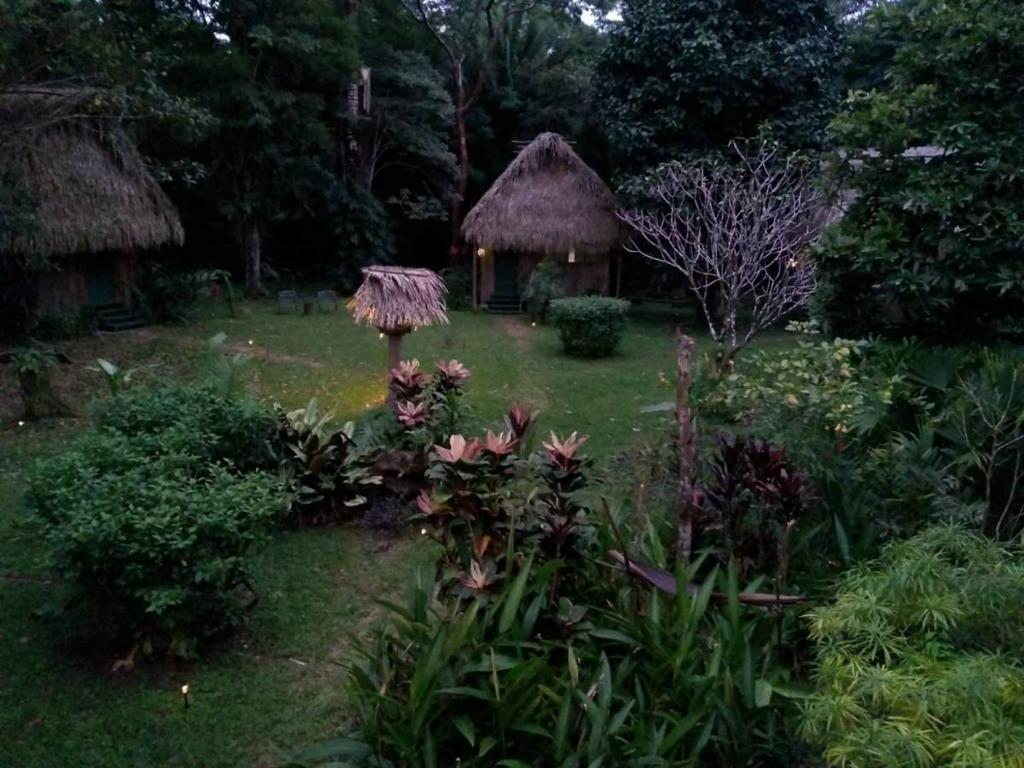 listing image with ID 65548