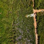 listing image thumbnail with ID 68191