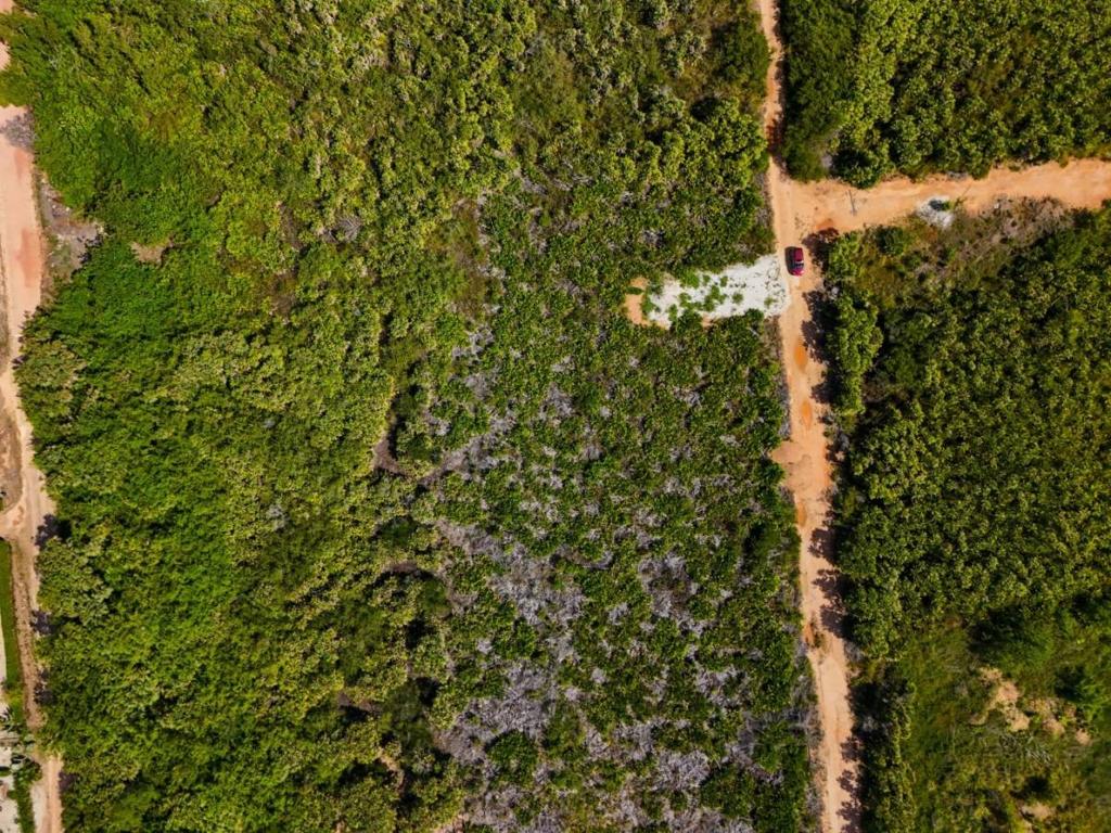 listing image with ID 68191