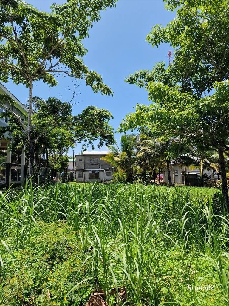 listing image with ID 67506