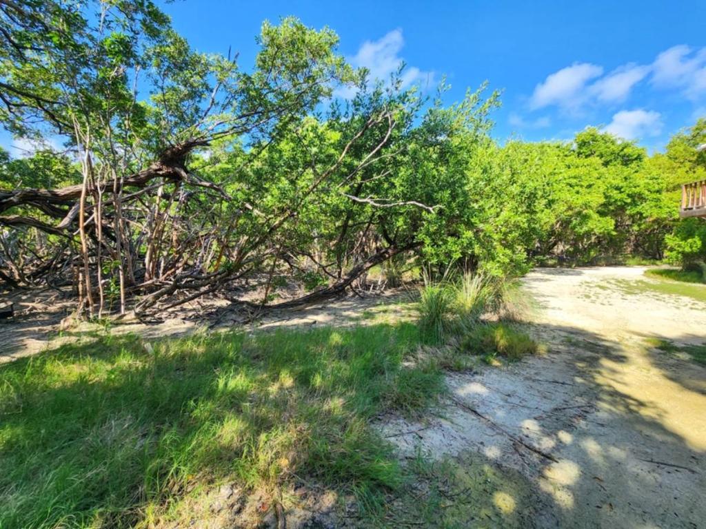 listing image with ID 65965