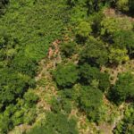 listing image thumbnail with ID 65240