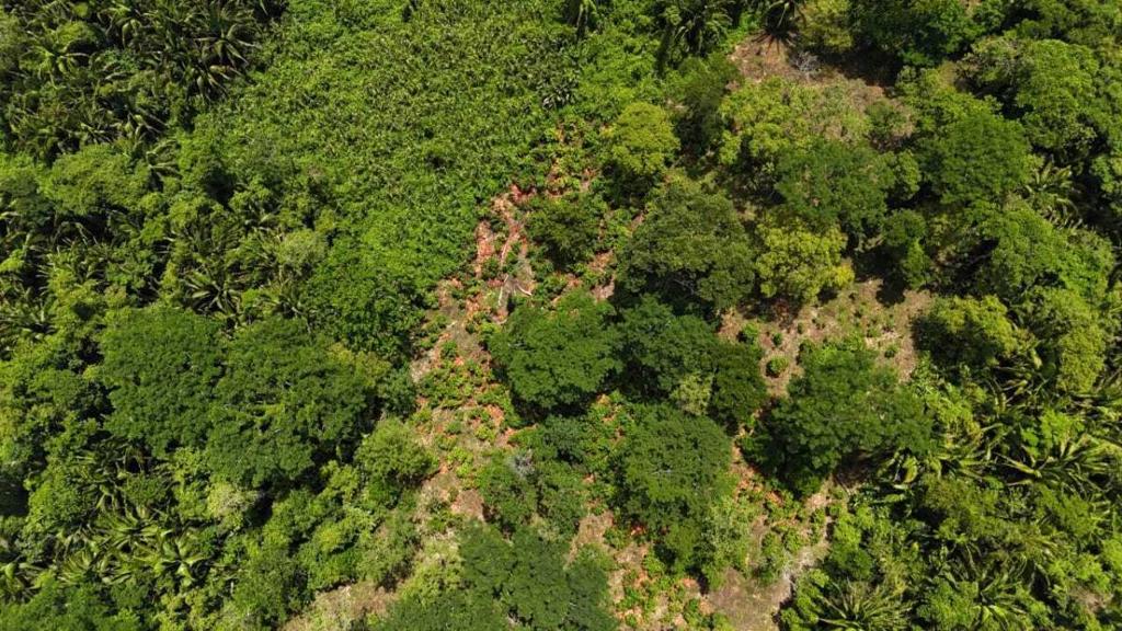 listing image with ID 65240