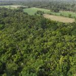 listing image thumbnail with ID 65415