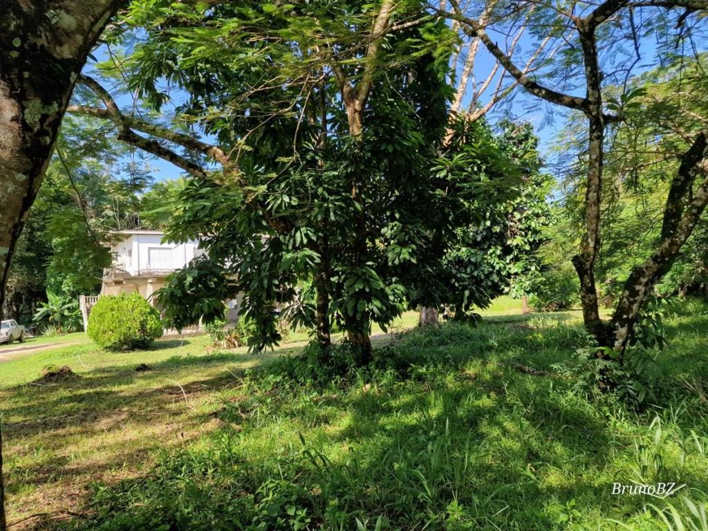 listing image with ID 63905