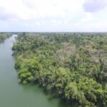 listing image thumbnail with ID 63800