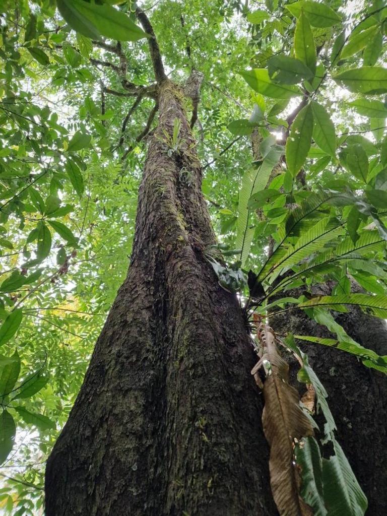 listing image with ID 63972