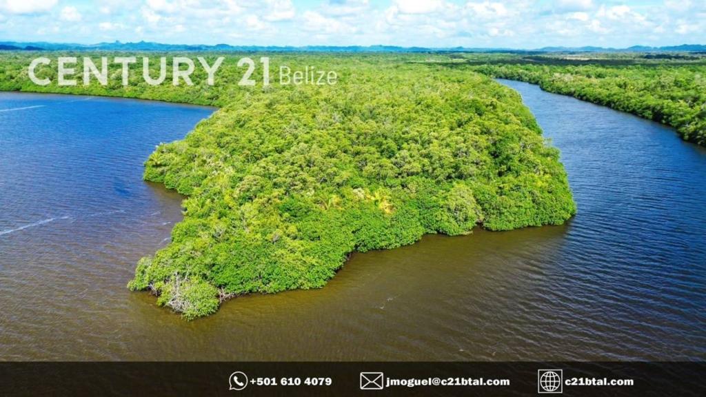 listing image with ID 65657