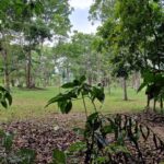 listing image thumbnail with ID 63976