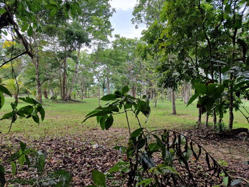 listing image with ID 63976