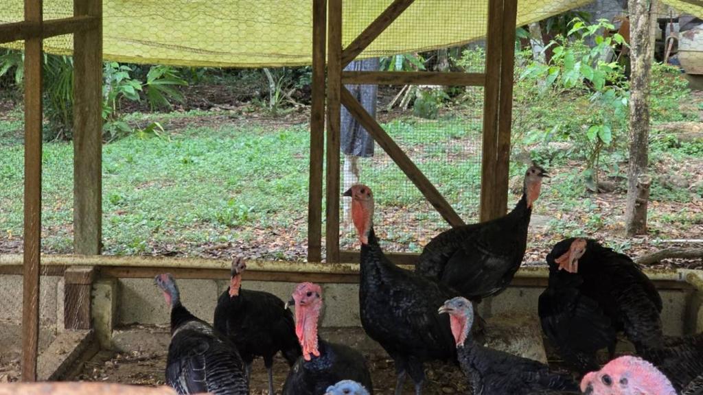 listing image with ID 66880