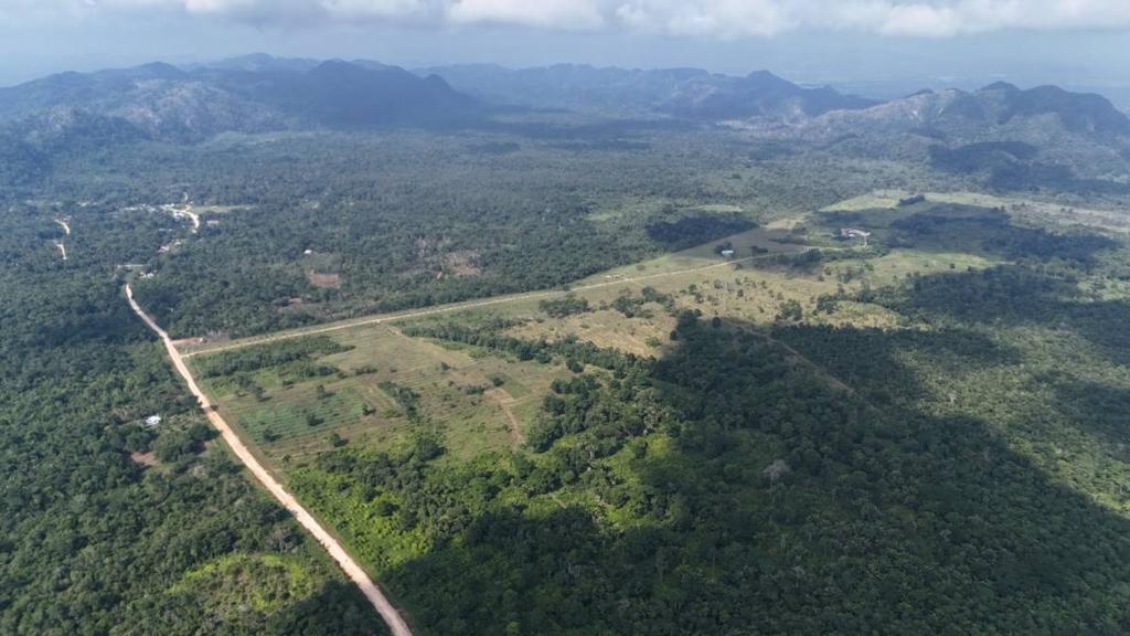 listing image with ID 68065