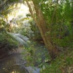 listing image thumbnail with ID 64067