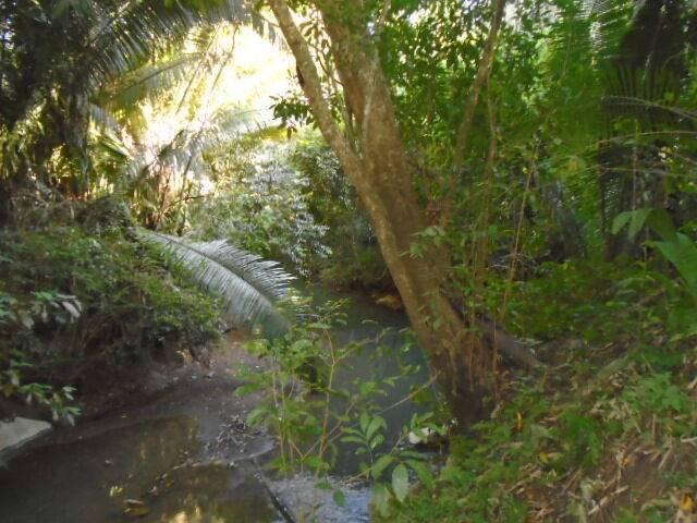 listing image with ID 64067