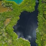 listing image thumbnail with ID 66859