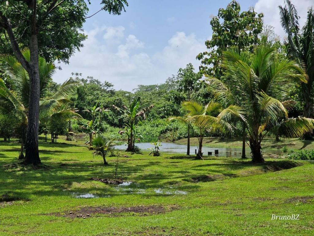 listing image with ID 67903