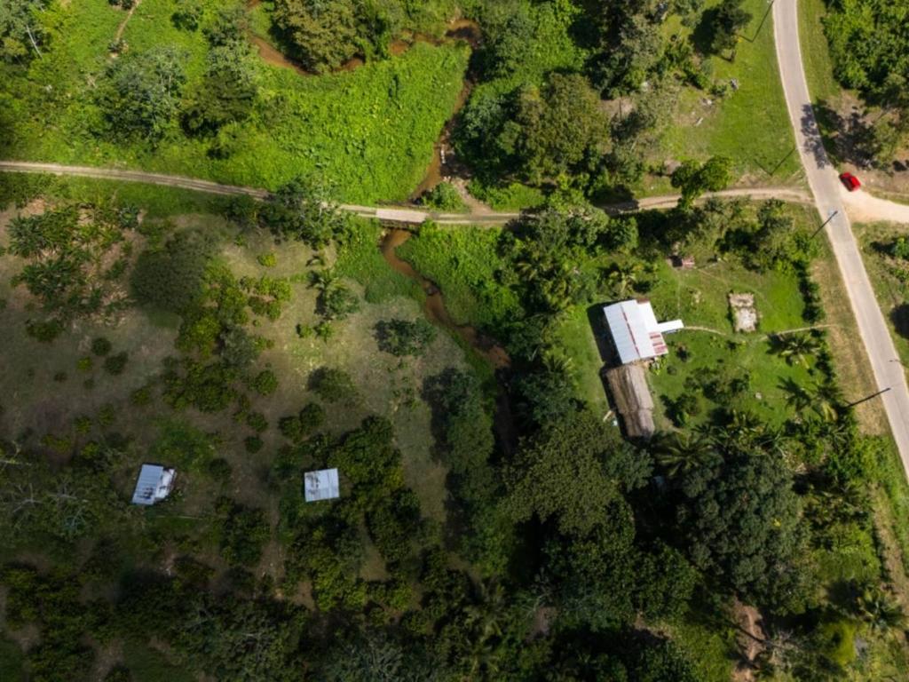 listing image with ID 64399