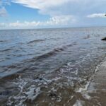 listing image thumbnail with ID 63716